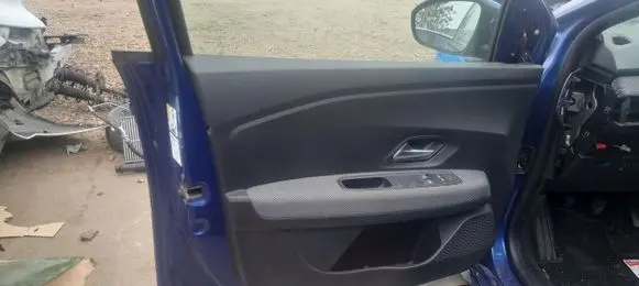 Dacia Sandero Front door card panel trim 809018496RIS