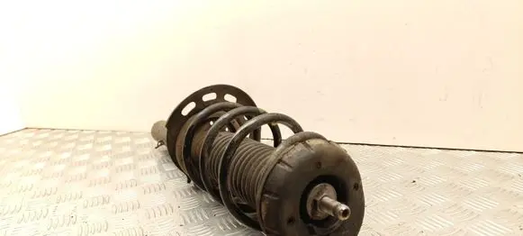 Opel Crossland X Front shock absorber with coil spring 9841119480