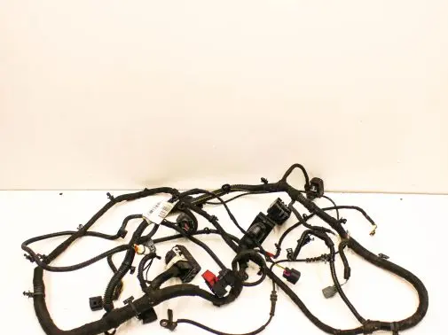 Engine installation wiring loom