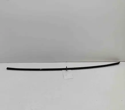 Hyundai IONIQ 6 Rear door glass trim molding 83860KL010