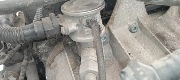 EGR valve