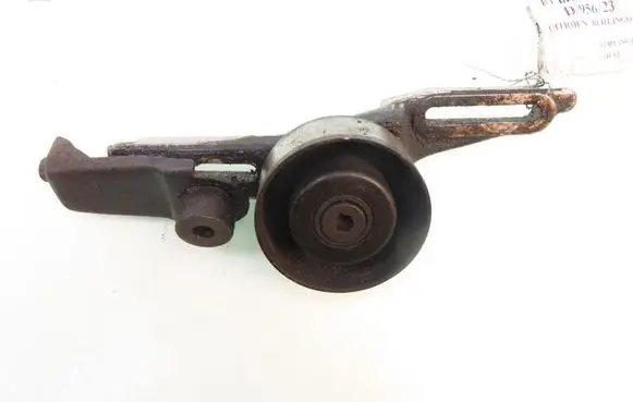 Citroen Berlingo Timing belt/chain tensioner 122598