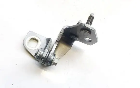 Rear door lower hinge