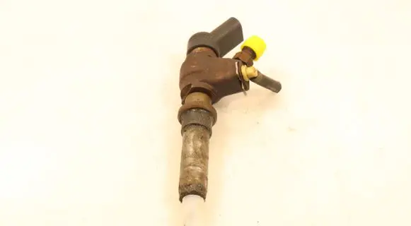 Peugeot Partner Fuel injector 9636819380