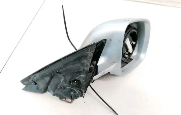 Plastic wing mirror trim cover
