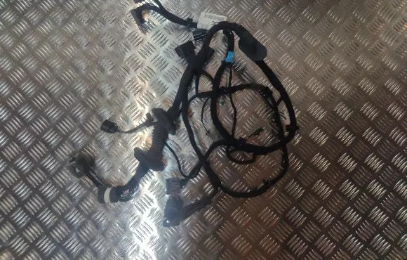 Jaguar XF X250 Front door wiring loom 9X2314A205