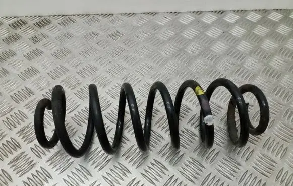 Volkswagen PASSAT B7 Rear coil spring 3AA