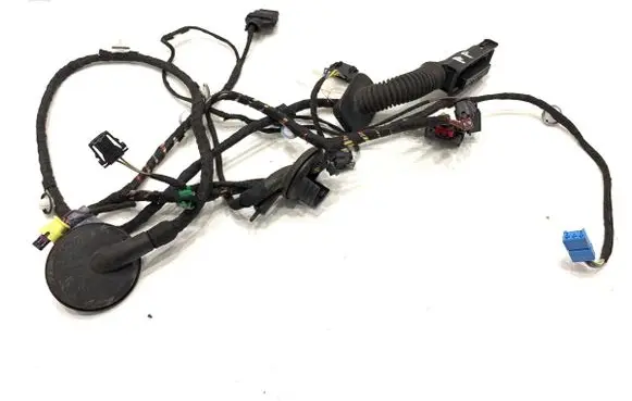 Audi TT TTS RS Mk3 8S Front door wiring loom 8S0971030C