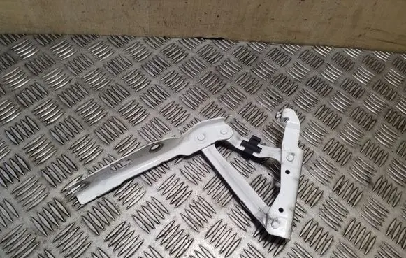 Volkswagen Eos Engine bonnet/hood hinges 1Q0823302C