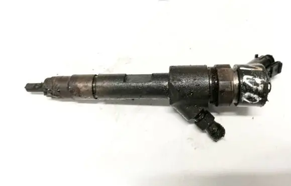 Suzuki Grand Vitara II Fuel injector 8200389369 0445110230