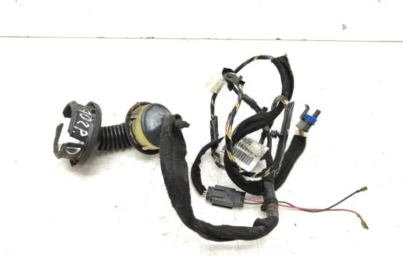 Front door wiring loom