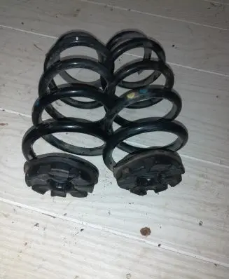 Renault Zoe Rear coil spring