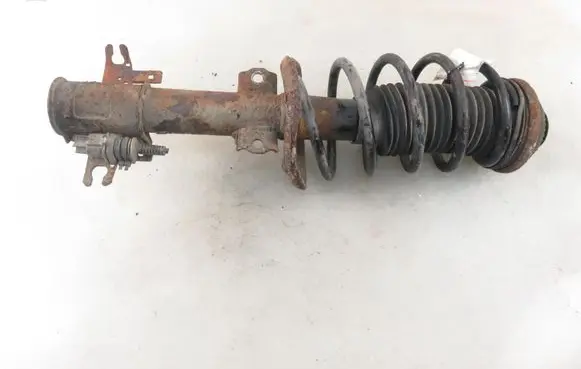 Opel Astra H Front shock absorber with coil spring 