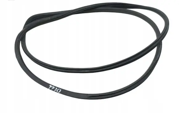 Hyundai ix 55 Rubber seal front door (on door) 