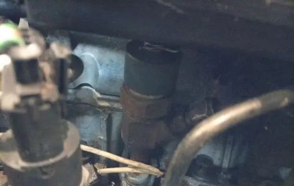 Renault Scenic I Fuel injector 0445110110