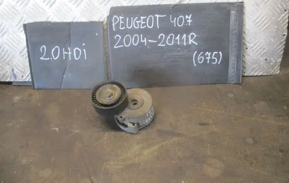Peugeot 407 Timing belt tensioner 