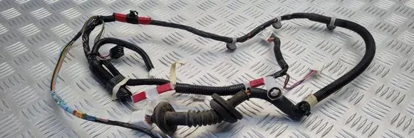 Lexus IS 220D-250-350 Rear door wiring loom 8215453040C