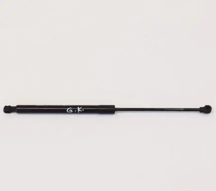 Dacia Sandero Tailgate/trunk strut/damper 904529943R