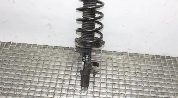 Ford C-MAX II Front shock absorber/damper BV6118K001KLB