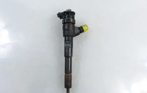 Dacia Dokker Fuel injector 8201108033 0445110485