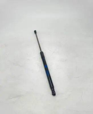 Tailgate/trunk strut/damper