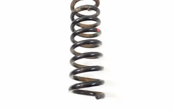 Rear coil spring
