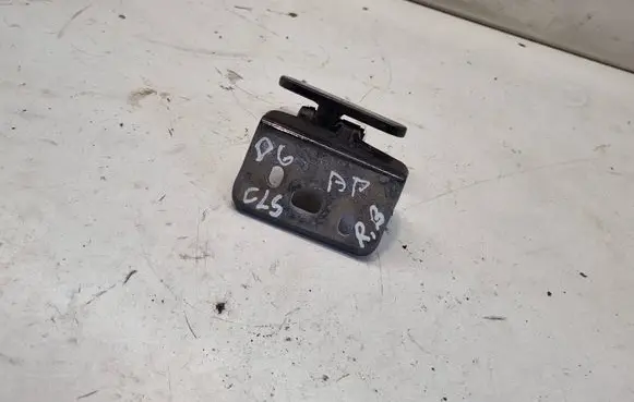 Mercedes-Benz CLS C219 Rear door lower hinge