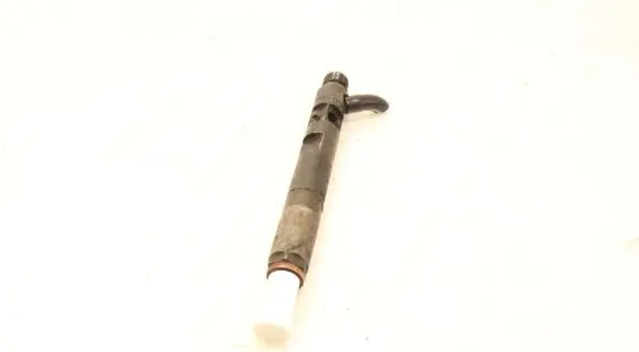 Renault Clio III Fuel injector EJBR05102D