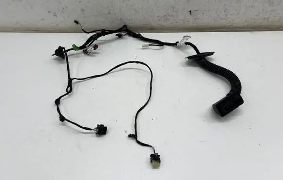 Mercedes-Benz EQE v295 Rear door wiring loom A2955401811