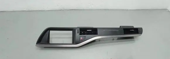 Citroen C5 Panel trim