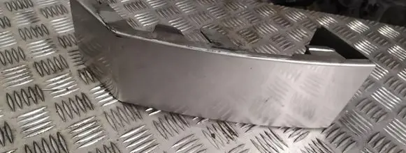 Rear/tail light trim molding