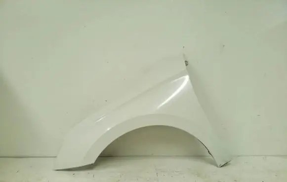 Skoda Fabia Mk4 (6VA) Fender