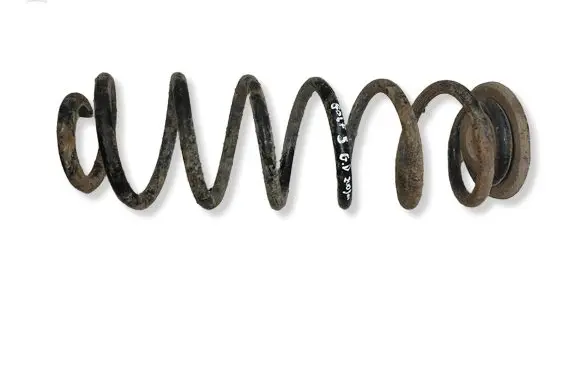 Volkswagen Golf V Rear coil spring 