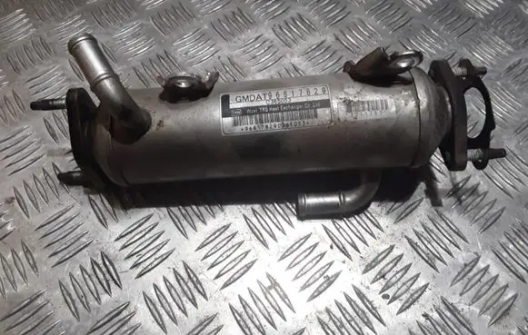Chevrolet Cruze EGR valve cooler GMDAT96817829 C365053