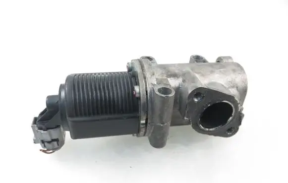 Fiat Punto (188) EGR valve 722946330