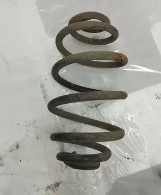 Volkswagen PASSAT B5 Rear coil spring