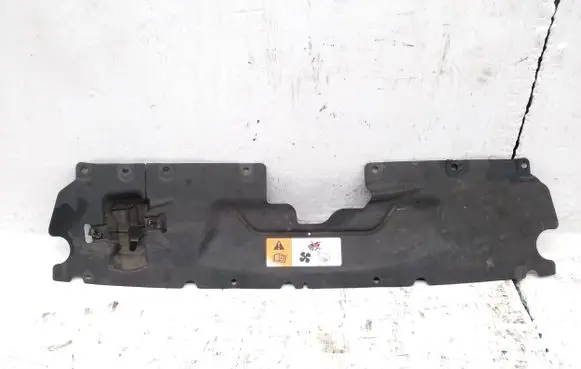 Engine bonnet/hood lock trim molding