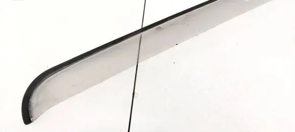 Nissan Pathfinder R51 Rear door glass trim molding