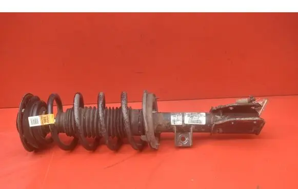 Chevrolet Equinox Front shock absorber/damper 20909157