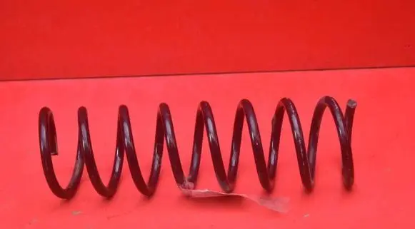 Rear coil spring