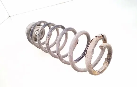 Rear coil spring