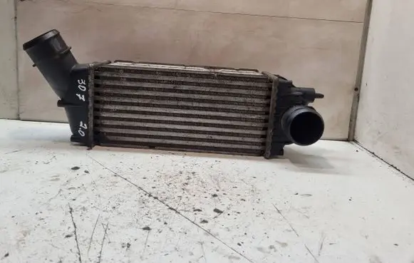 Peugeot 307 Intercooler radiator IA1319 874824KJ 9646694680