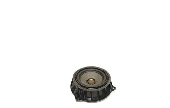 BMW X5 F15 Front door speaker