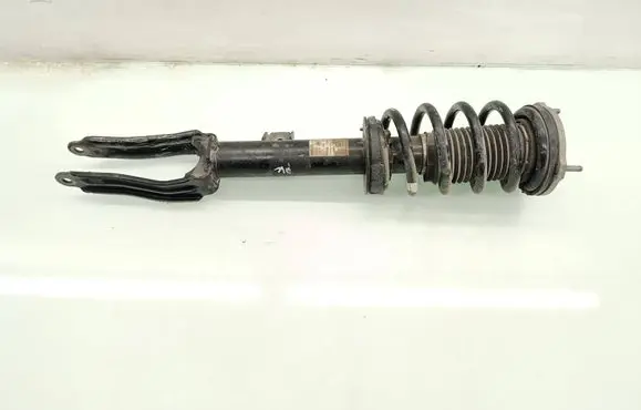 Alfa Romeo Giulia Front shock absorber with coil spring 50546462