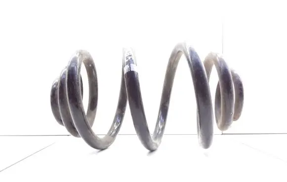 Volkswagen PASSAT B5 Rear coil spring