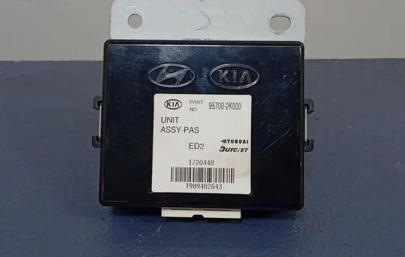 KIA Soul Other control units/modules 957002K000