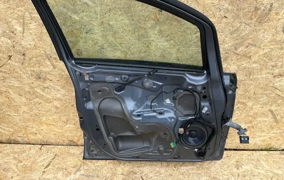 Ford Ecosport Front door