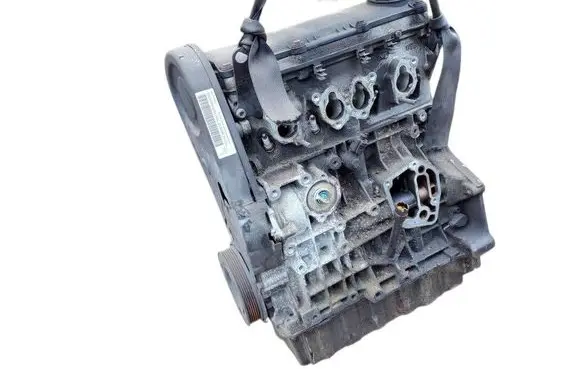 Volkswagen Golf V Engine BGU 06BU3019AF 045658