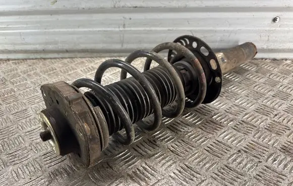 Volkswagen Golf V Front shock absorber/damper