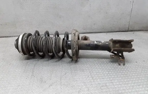 Opel Zafira B Front shock absorber with coil spring